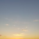 신안군청 이미지