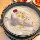 수원시 영통구 | 광교카페거리 삼계탕 점심메뉴 추천 &#39;지호한방삼계탕 광교점&#39;