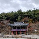 함양얼음 | 🍂 [함양 여행] 가을빛에 물든 함양 농월정, 그 풍경 속으로