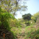 화정천1 이미지