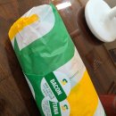 멀티플랙스아울렛줌 (롯데시네마) | 25년 10월과 11월은 가을이었다...