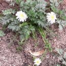 선민농장 이미지