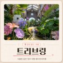 청주카페 트리브링｜대파크림치즈페이글에 반한 청주대형카페 베이커리