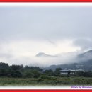 강림농장 이미지