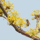 대안생활 이미지