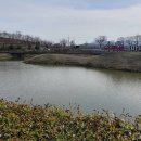 연꽃테마파크 방문자 센터 | 함안연꽃테마파크 여행팁 (주차, 위치, 개화정보)