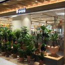 롯데백화점 중동점 이미지