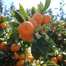 워니 농장 이미지