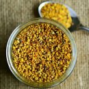 화분인간 이미지