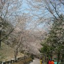 고향의 봄 이미지