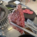 누렁소숯불 - 경주시 용담로 24-41 | 대구 수성구 황금동 맛집 장프로한우갈빗살에서 한우 등심부터 특수부위까지 제대로 즐긴 후기
