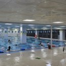 한국체대 다온태권도 이미지