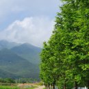 경천 농장 이미지