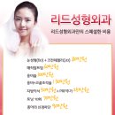 리드성형외과 네이버블로그
