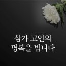 추성훈, 오늘(18일) 부친상…일본으로 급히 귀국 이미지