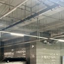 투어 21 | 마레벨라] 드디어 공사 끝! 오픈 직후 홀투어 솔직후기! 21주 임산부의 내돈내산 계약확정 (feat...