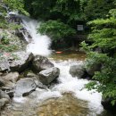 대관령자연휴양림 이미지