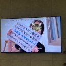 이탈리아 신혼여행 1 | 로마 골목골목 둘러보기
