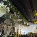 뉴동해컨벤션연회장 | 27년 상반기 더뉴컨벤션 웨딩 르노브홀 상담후기 및 견적공유(계약❌)