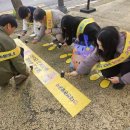 자양초교 이미지