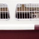 물빛동물병원 이미지