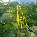 동산농원 이미지