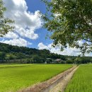 모모카네 펜션 이미지