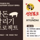 한돈 이미지