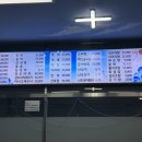 싱싱임학어시장