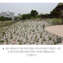 &#39;용산어린이공원&#39;이 감춘 것, 이거 알면 못 간다-4일부터 &#39;임시&#39; 개방... 오염된 공간으로 국민을 초대하는 정부 이미지