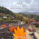 천제당입구 | 하동 청학동 천제당, 삼성궁 단풍명소 주차 꿀팁과 후기