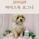 후스독 | 마더스독 강아지샴푸 포그니, 각질 향 해충케어까지 한 번에 후기 좋은 이유