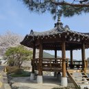남부문화체육센터 수영장 | 진주 근교 산청 원지강변 벚꽃길, 산청지리산도서관, 목화빵집
