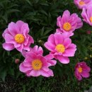 진천농장 이미지