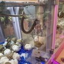 별오락실 만수점 이미지