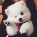 서울루션