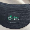 그리다플러렌 이미지