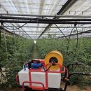 고교농장 | 🍅 토마토 농장 필수템! 좁은 고랑에서도 잘 도는 PS2-100W 전동운반차 실사용 후기