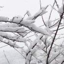 여기가행복한펜션 이미지