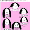 붙임머리 화니샵