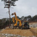 소나무회관 이미지