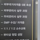 바오새라&숲칼프