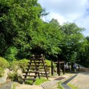 장산산림욕장 2호 | 부산 해운대 장산 등린이 등산코스 추천