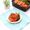 하루올담 | 전라도 총각김치 맛있는 청올담 쑥이네 알타리 무 김치