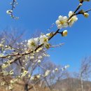 3원-天,地,人 이미지