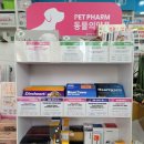 새울림약국 이미지