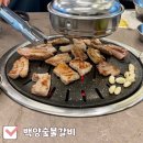 백양 | 창원 봉곡동 맛집 가성비 넘치는 갈비집 솔직 후기 (백양숯불갈비 창원봉곡점)