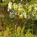 점봉농장 이미지