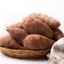 박동호농장 이미지