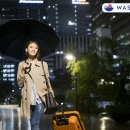 멋쟁이 세탁 이미지